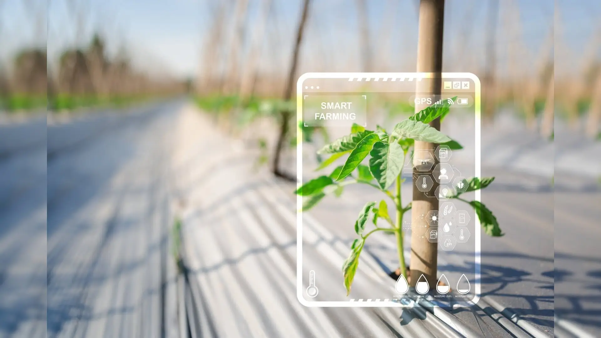 Learning Sustainability Through Informatics